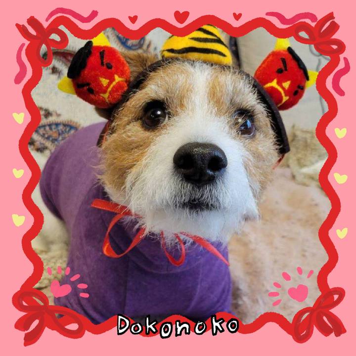 85b74a5b 74ac 4b0f a202 b71618c8d11b 1706919892622