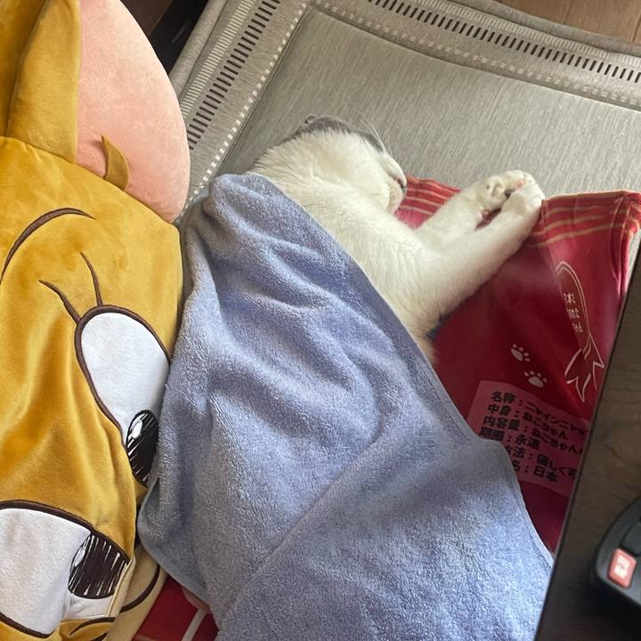 85b79cc3 ecfd 4a0a 9f98 6db880c14853 1755310016747