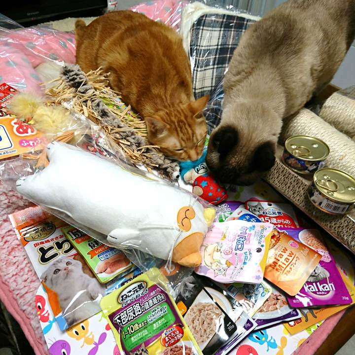 85b7a39c d565 4d6c 937e 4c9b6d938993 1546420586162