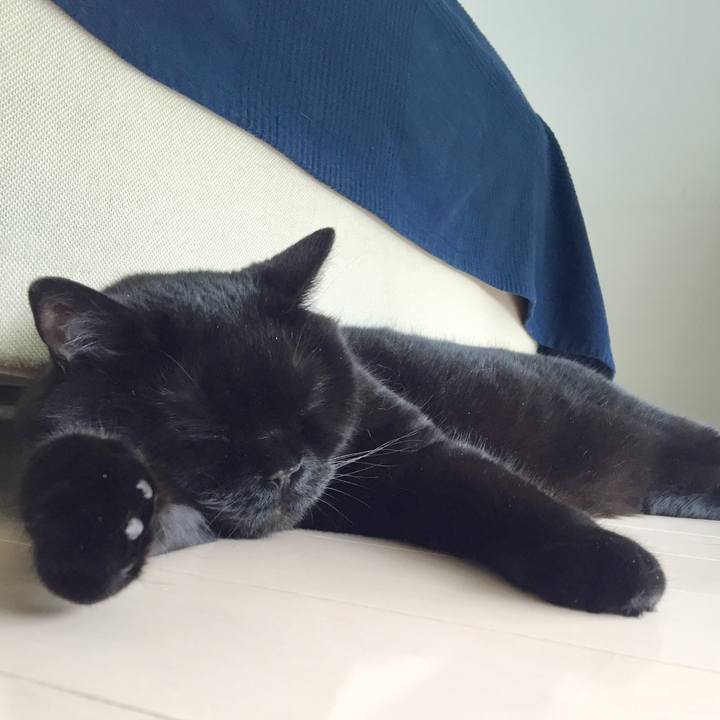 85b7dc68 1775 4fec a53a cd15cbaa9bcc 1592030186886