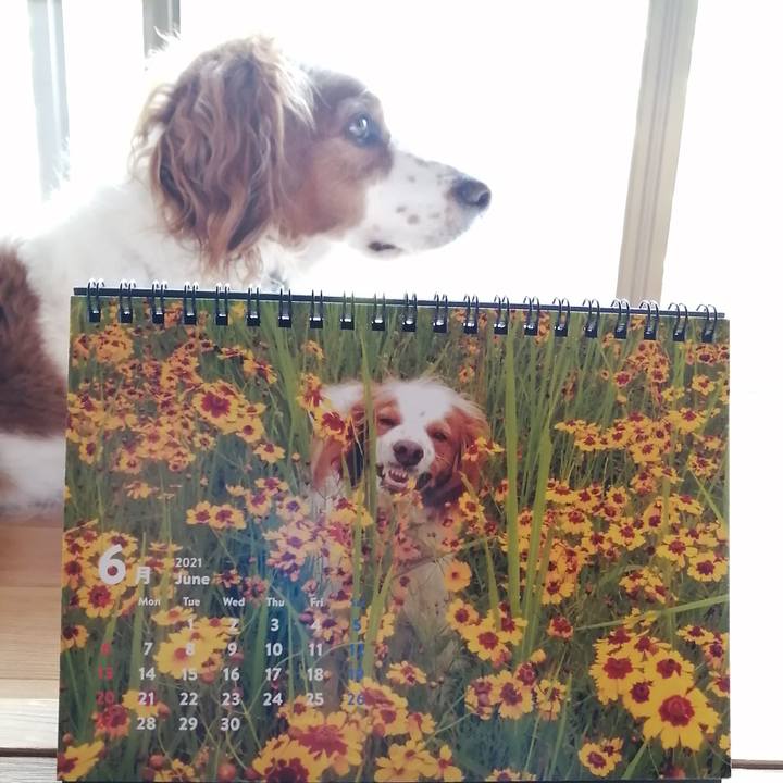 85b7dee9 f2d3 4767 a54c 2cbe09a4a25c 1622524886598