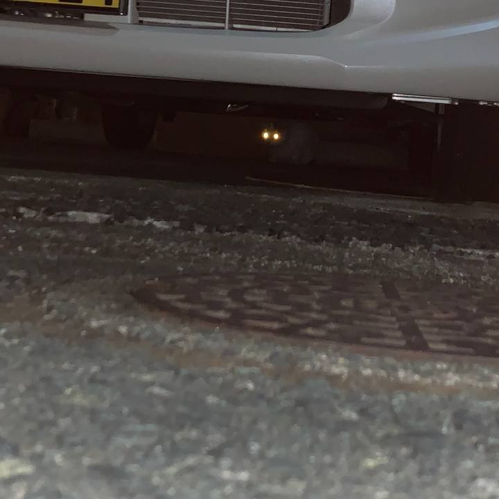 85b7fa33 59c7 4b77 a8e9 a07dc681df03 1657398536508