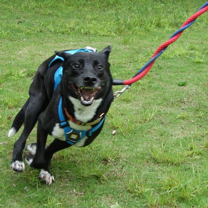 85b80a5b 43c6 4e98 ad98 669ab12f7994 1621730501287