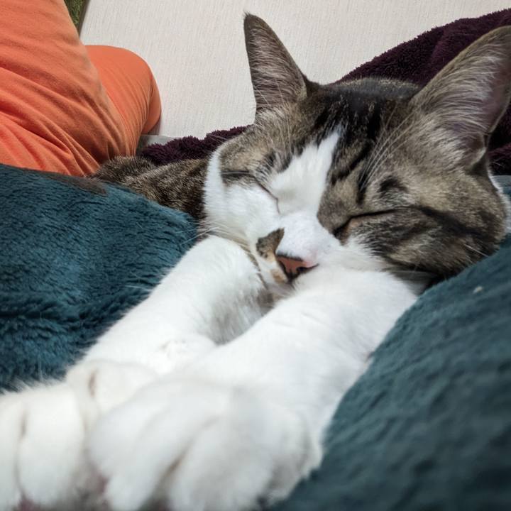 85b818df 9dd2 4c70 abdf c92339eee1b5 1705896334352