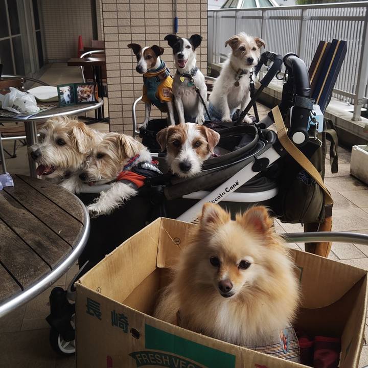 85b88449 abe5 407f 875b 04194a4b8a16 1760507581685