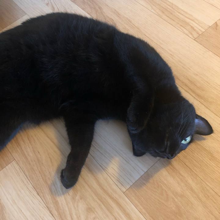 85b891a7 4b88 40c2 9de1 1ff4fc82395c 1596325910733