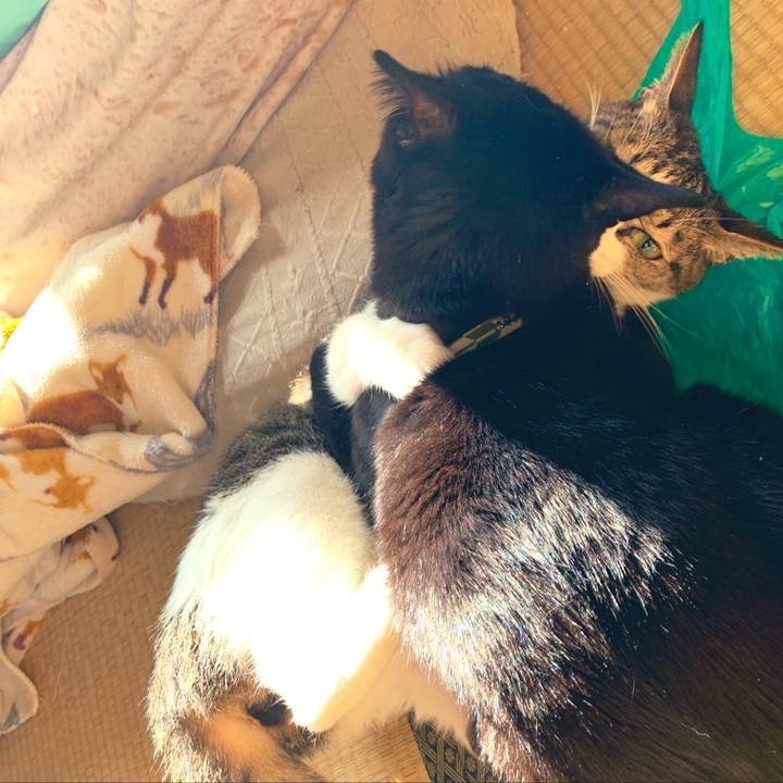 85b89698 22ff 4b85 8146 993f8e86757f 1571101672927