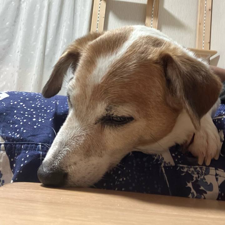 85b8baf4 f6de 4290 bcd4 4f50e3547d02 1718460157268