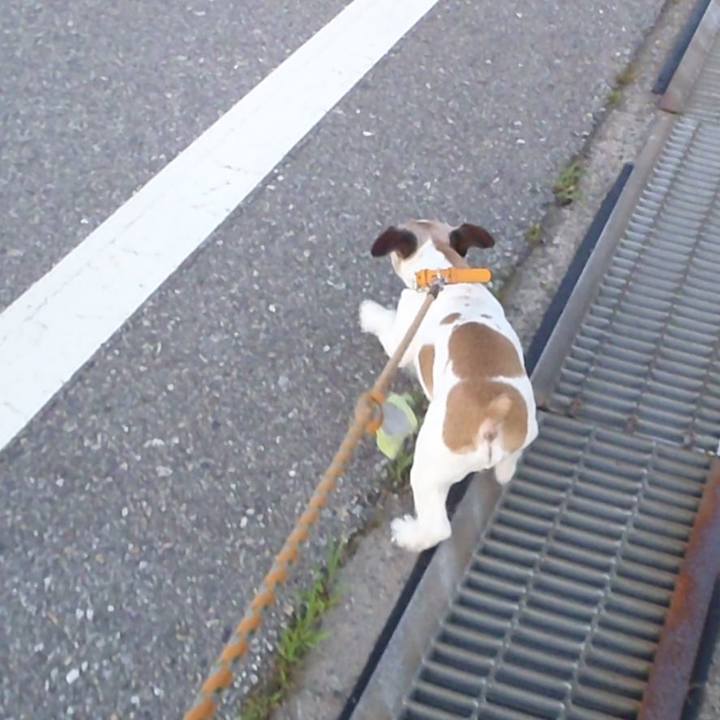 85b9048d cea6 4172 a590 131adb13e1fc 1530717667205