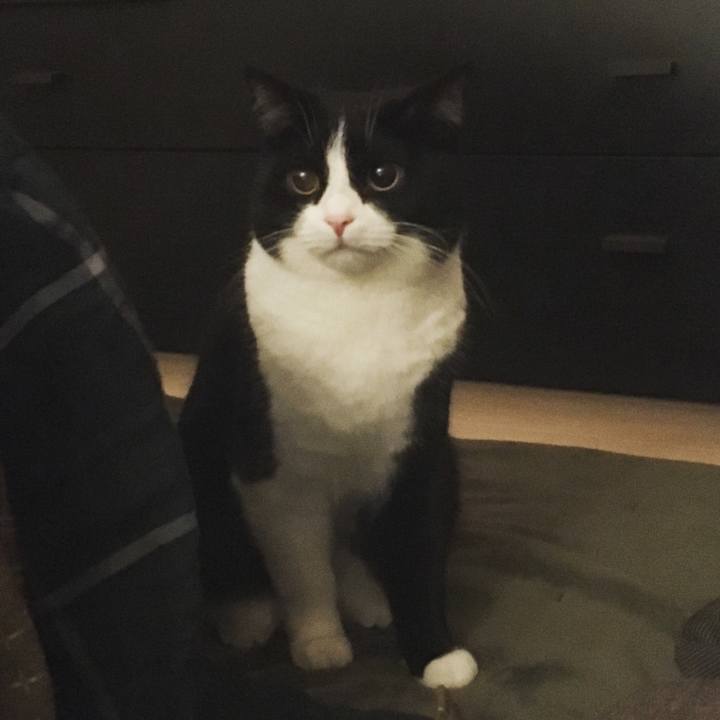 85b90659 f643 4bf8 89c1 0e61ba2d0e2a 1551174490652