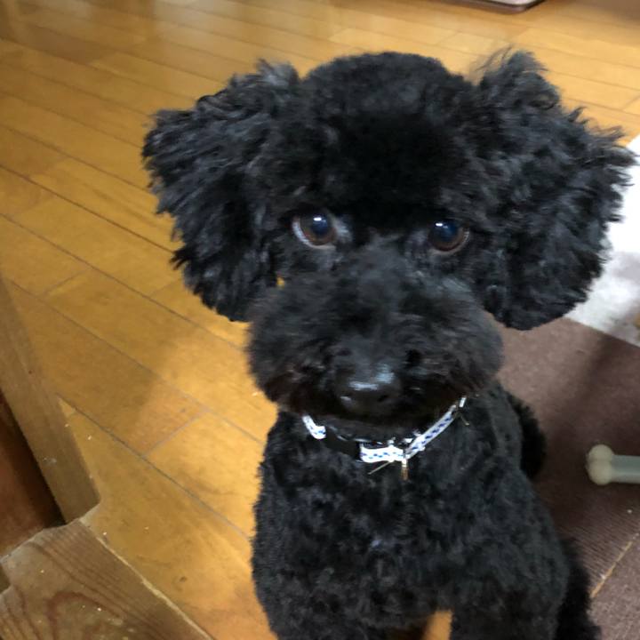 85b90c94 b655 473b b226 a53ccc6bfece 1509154941608