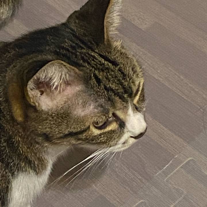 85b947d1 913a 47fd 971d 07cd901023f4 1633871864406