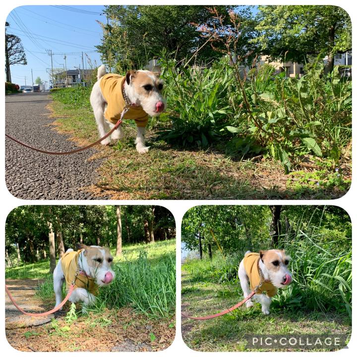 85b96a57 1d2e 4e42 927c d367157f3305 1618821572883