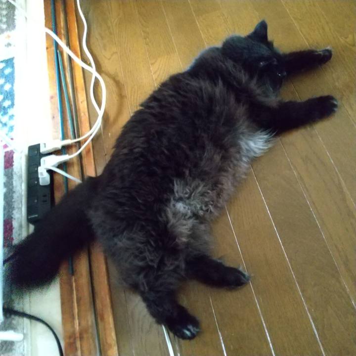 85b97e60 dc4f 4cf6 96c5 577d0307699f 1660311070750