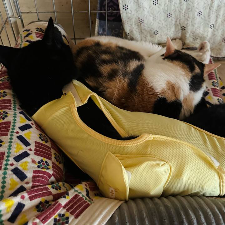 85b98477 42aa 4522 8e30 72153e74de6d 1720660448152