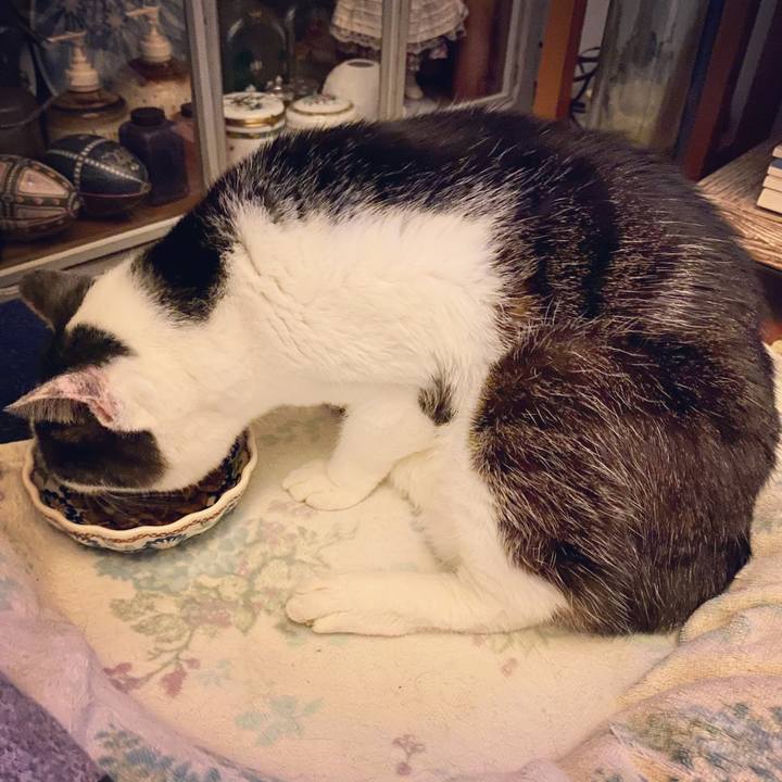 85ba1f24 d856 494b 862e ea216446318b 1611752763238