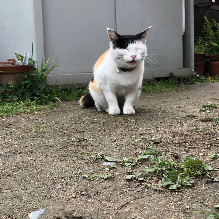 85ba98f0 e7d9 4ae6 b425 15baa88eda4a 1618354579274