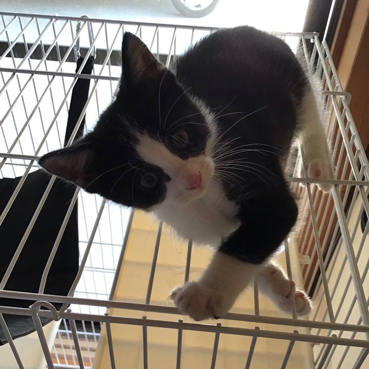 85ba9f61 a477 426c 99a0 eb17124c1157 1624431083178