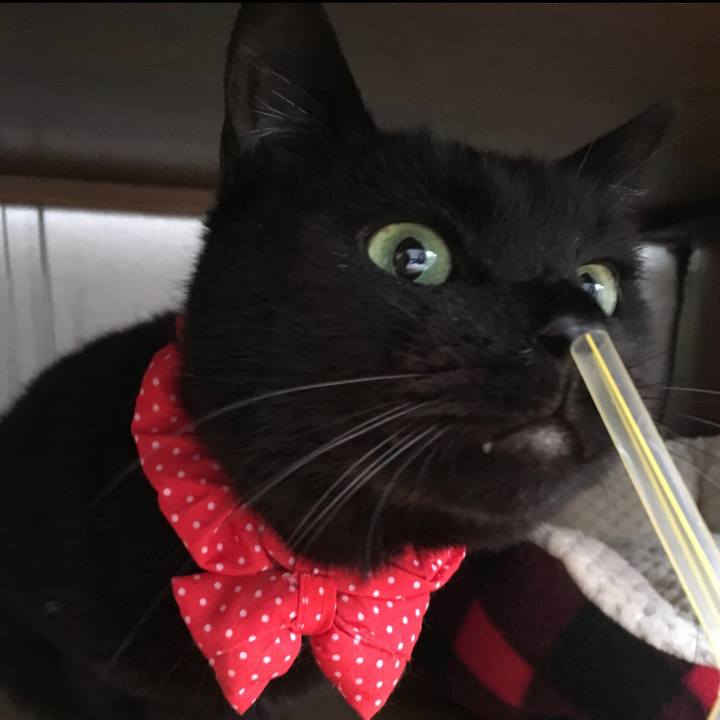 85baef39 ed36 4b9a b223 420872ad08d8 1581429989080