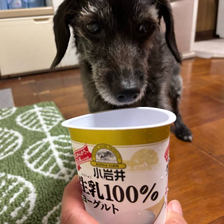 85bafd5d d731 411f aeba fa16c0022f06 1758414627852