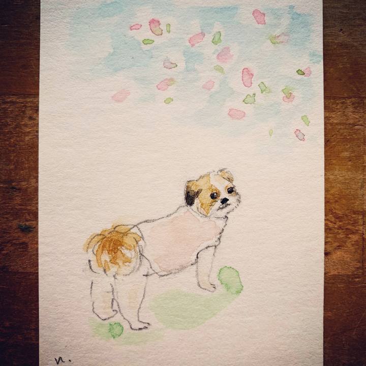 85bb0007 1142 4e6d 962b ee1689d695ee 1612748977161