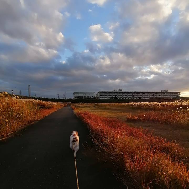 85bb225d e676 495b a565 c982182e0051 1605783740212