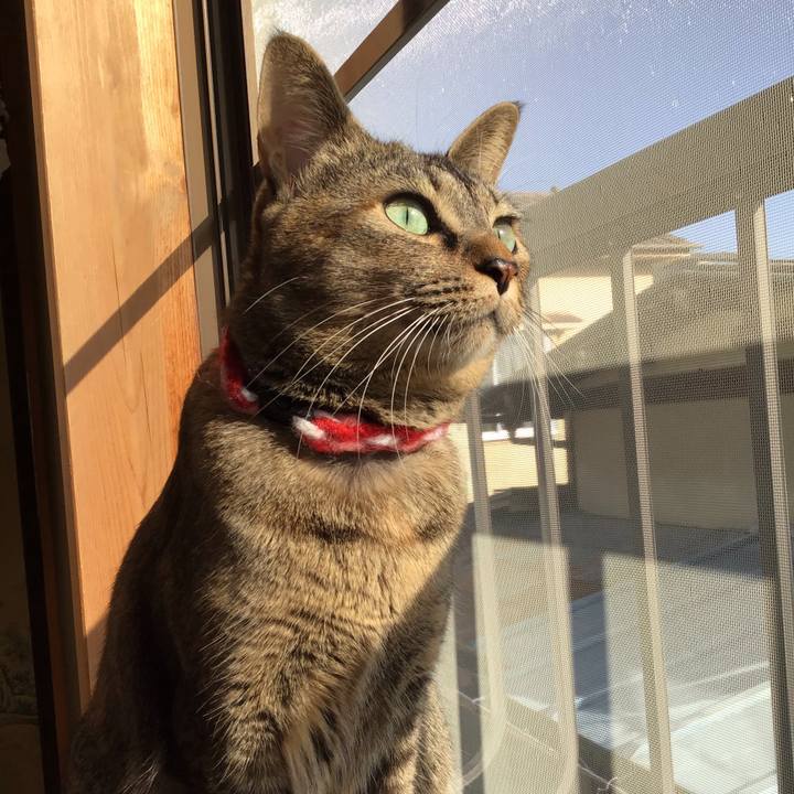 85bb2316 1915 4b9e 8e25 1e27caaed1df 1605578095537