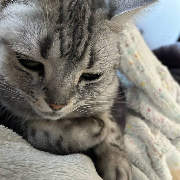 85bb2910 189e 4d01 aa71 84c4044f3968 1702085656863