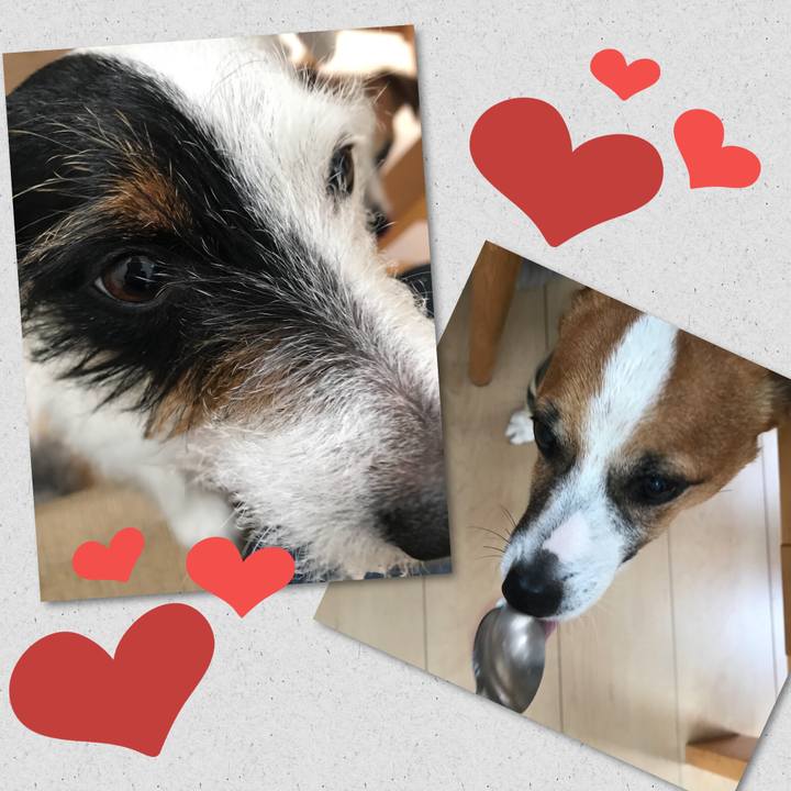 85bb3ef3 0aa8 4637 9446 9619e2bd3ebe 1521413378019