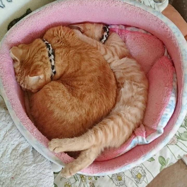 85bb3efe f192 4229 921f 856f4fa9013f 1543623284770