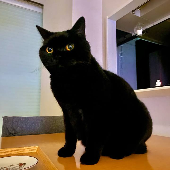 85bb4d85 cb27 4330 acd7 8c347dfeb5a0 1734002418480