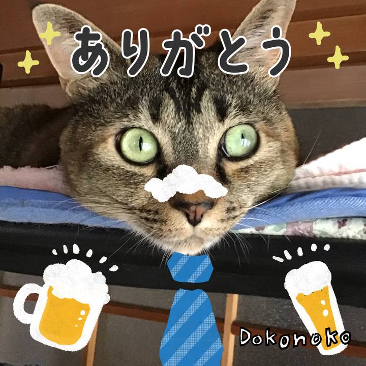 85bb608b f111 4caf aeab 8a8c93f93b3d 1717751103636