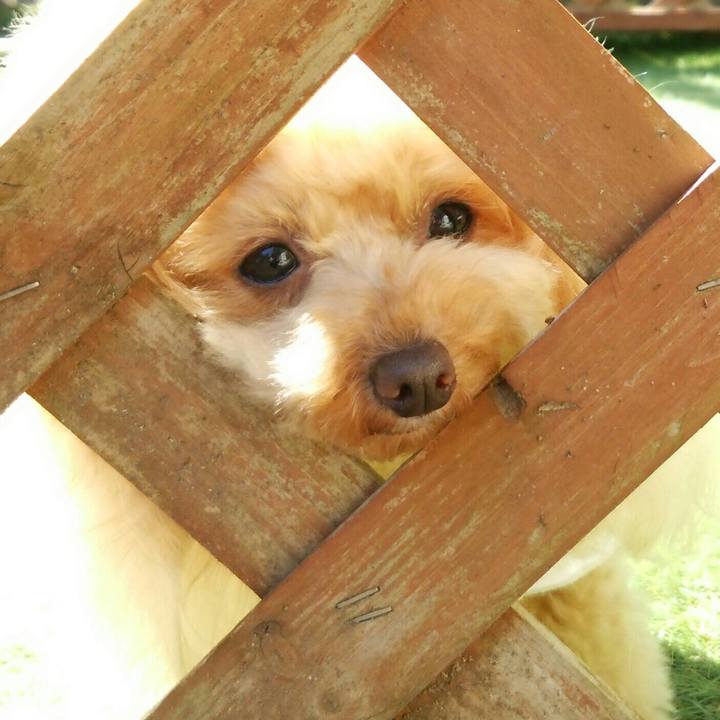 85bb85e8 7678 40c3 ba2f 206329f3f01b 1555545691226