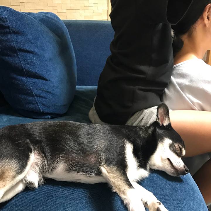 85bbab2f 0678 4659 b5a7 985399ee459e 1535192680421