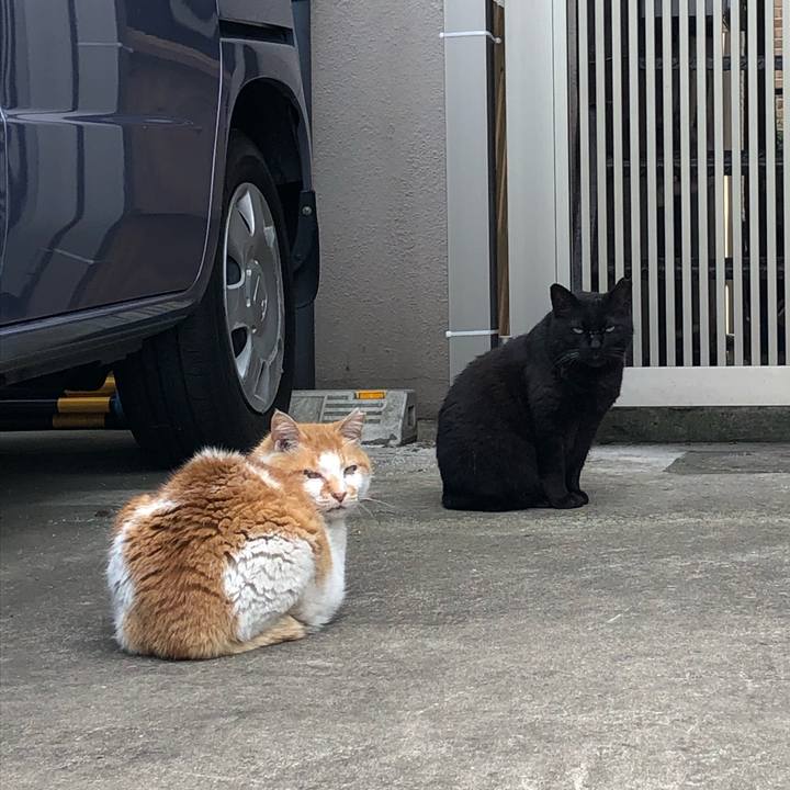 85bbc910 be51 4d0e 8e9f 1312aa450b16 1559128776884