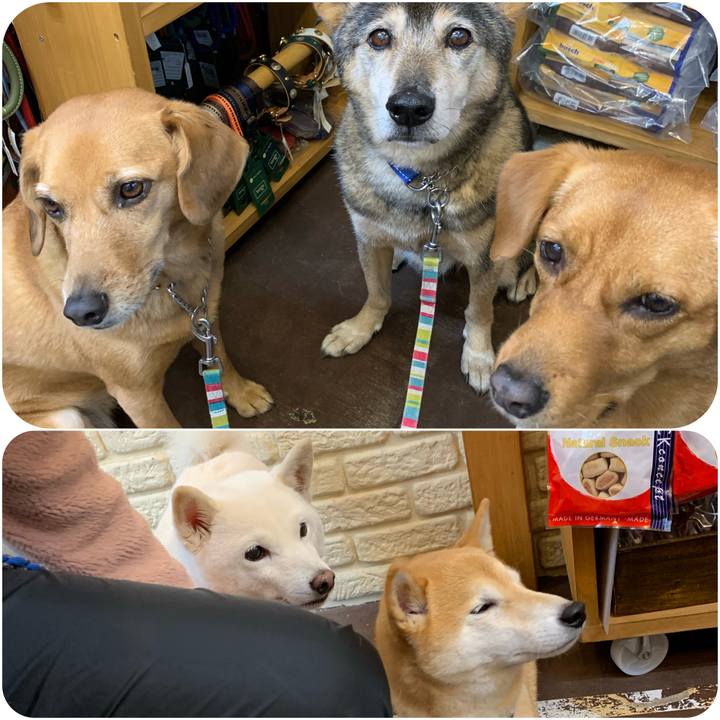 85bbd50a c599 418b 9118 67e8c894982c 1575983748752