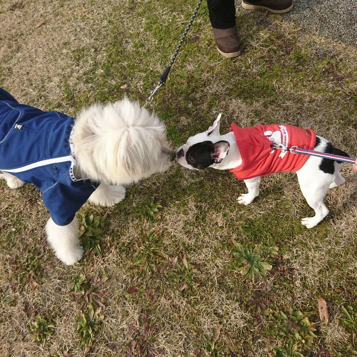 85bbde22 5448 4359 9613 04fd15328a95 1578817076768