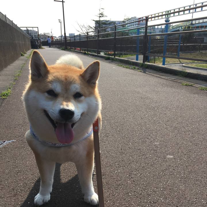 85bbf30f d3f7 4945 bc5b dd11bec074e9 1554538468556