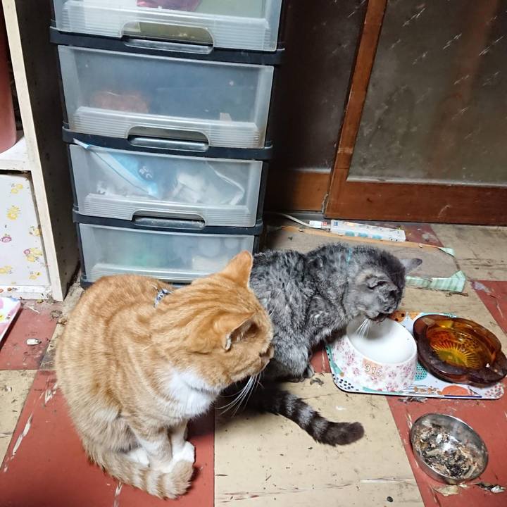 85bbfce9 3390 4eec 8f18 316399cab4eb 1605213738136