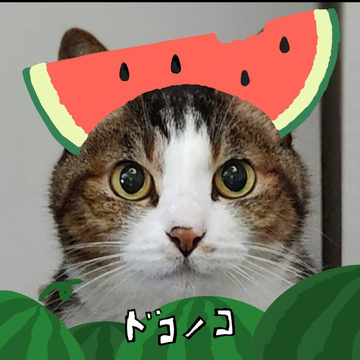 85bc259c d039 406d b83c d14904711a58 1720920626903