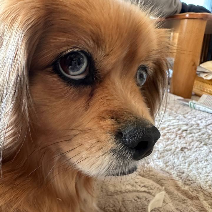 85bc2bf4 637b 4877 8800 feb44d0c4018 1709500078224