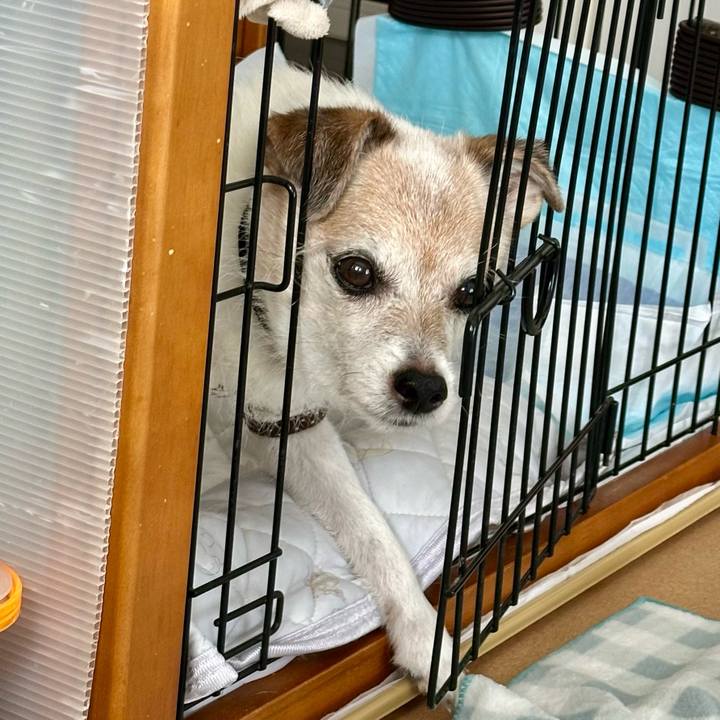 85bc6460 84eb 44d1 b0f5 6082f335008e 1729568402316