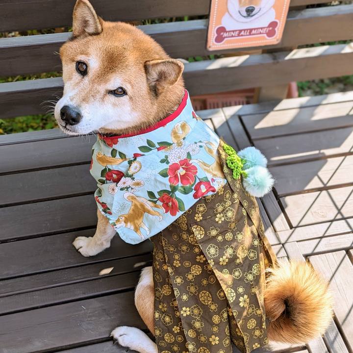 85bca27f 26b7 4b58 91e9 ee6256772527 1698972313321