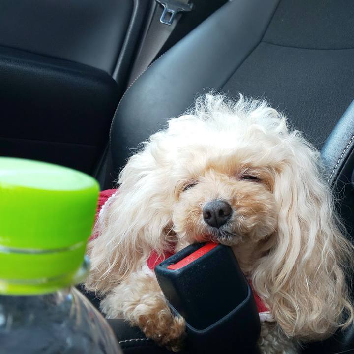 85bcd4d0 2483 4e68 addf d8d1a5a6df7f 1678093739865