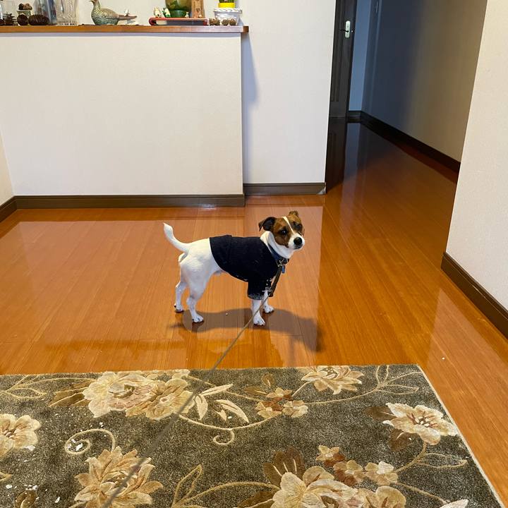 85bcead2 db18 4d2b bbf9 f0b3a731e505 1642145505153