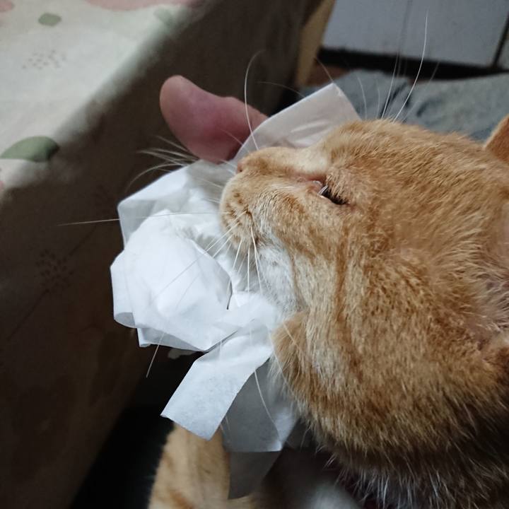 85bced36 a044 41e8 8d14 df94043fa066 1574113668943