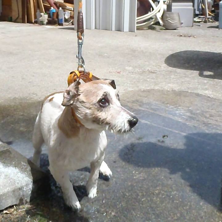 85bd5855 0a6e 4e5e abaa 2d308ec15f82 1526452942602