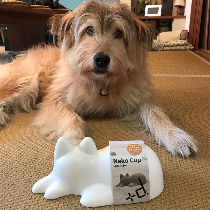 85bd629f 33c6 4958 9e7b 10d27431b048 1575258312166