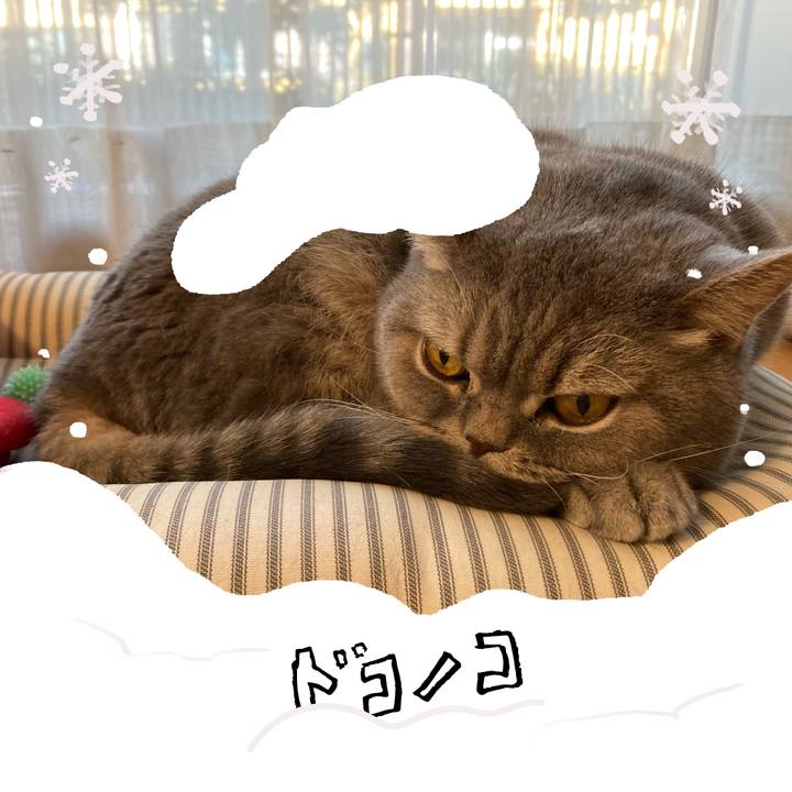 85bd9ca3 685b 4a88 96c1 6a06e75756e8 1772259818004