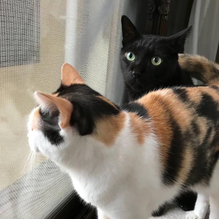 85be0594 9506 4cf5 b166 c677a69b7234 1536457674161